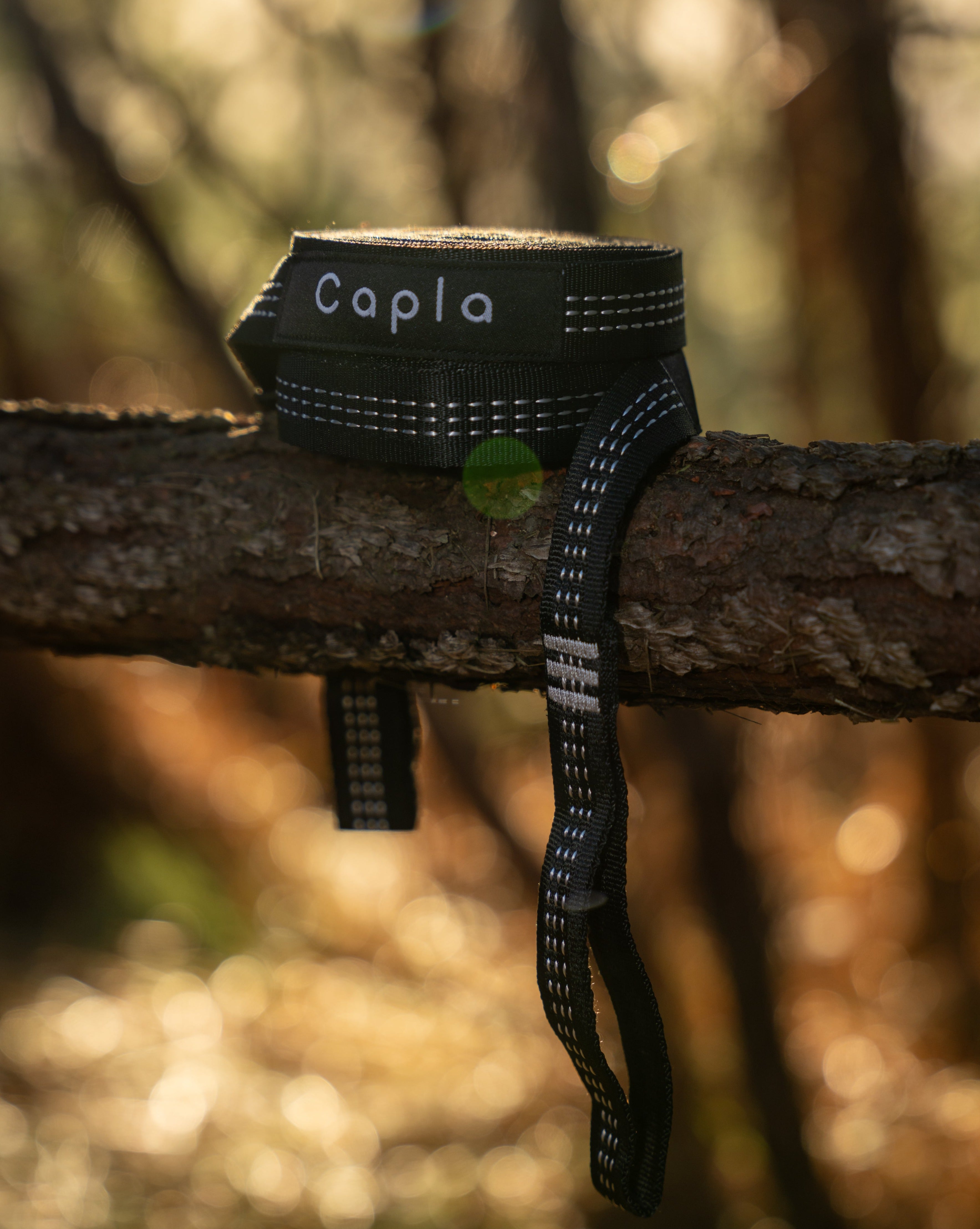 Capla Hammock 2.0 - Green & Blue
